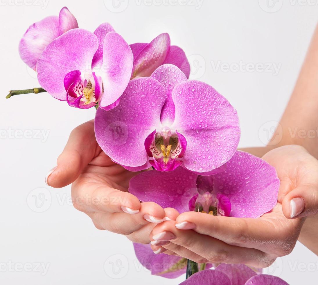 manicura francesa y flor de orquídea foto