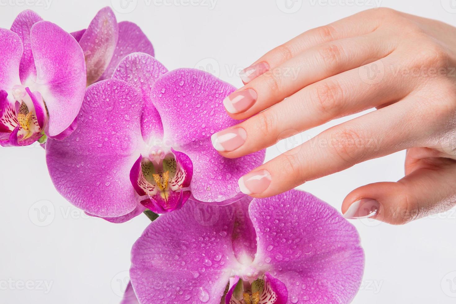 French manicure and orchid flower photo