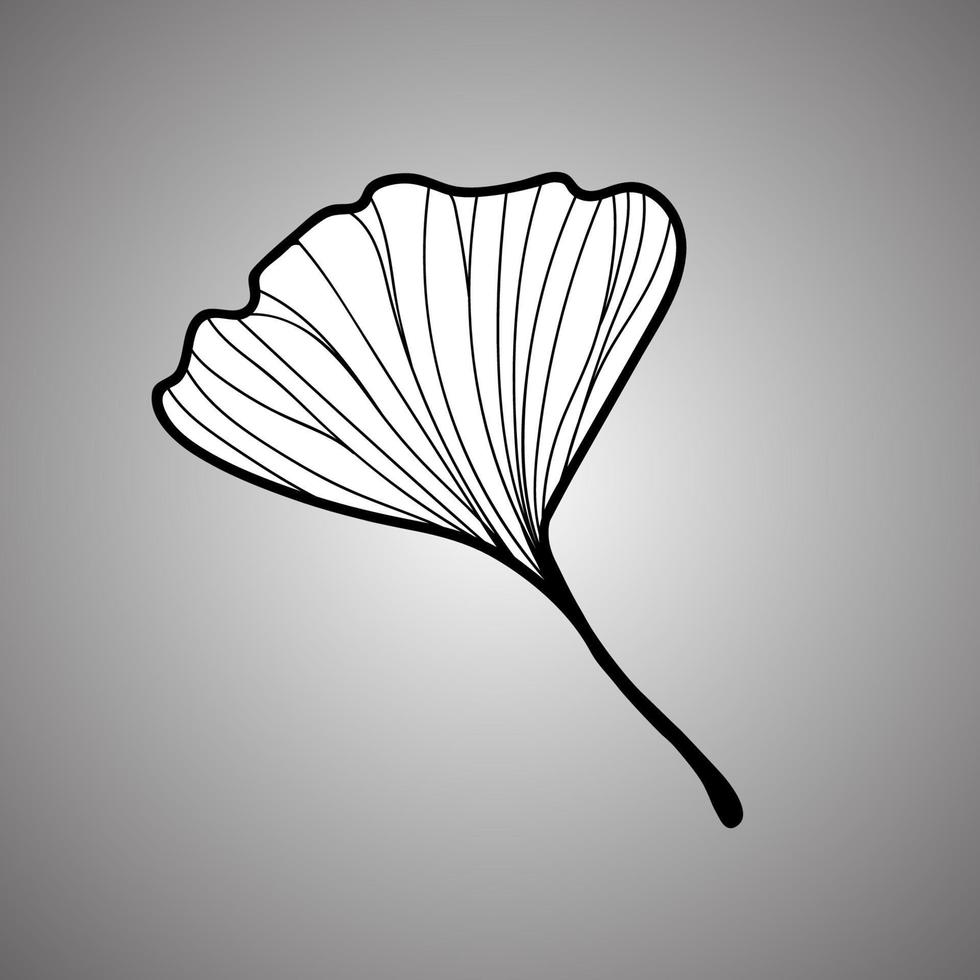 ilustración vectorial de la hoja de ginkgo biloba. diseño de arte de línea de tinta vector