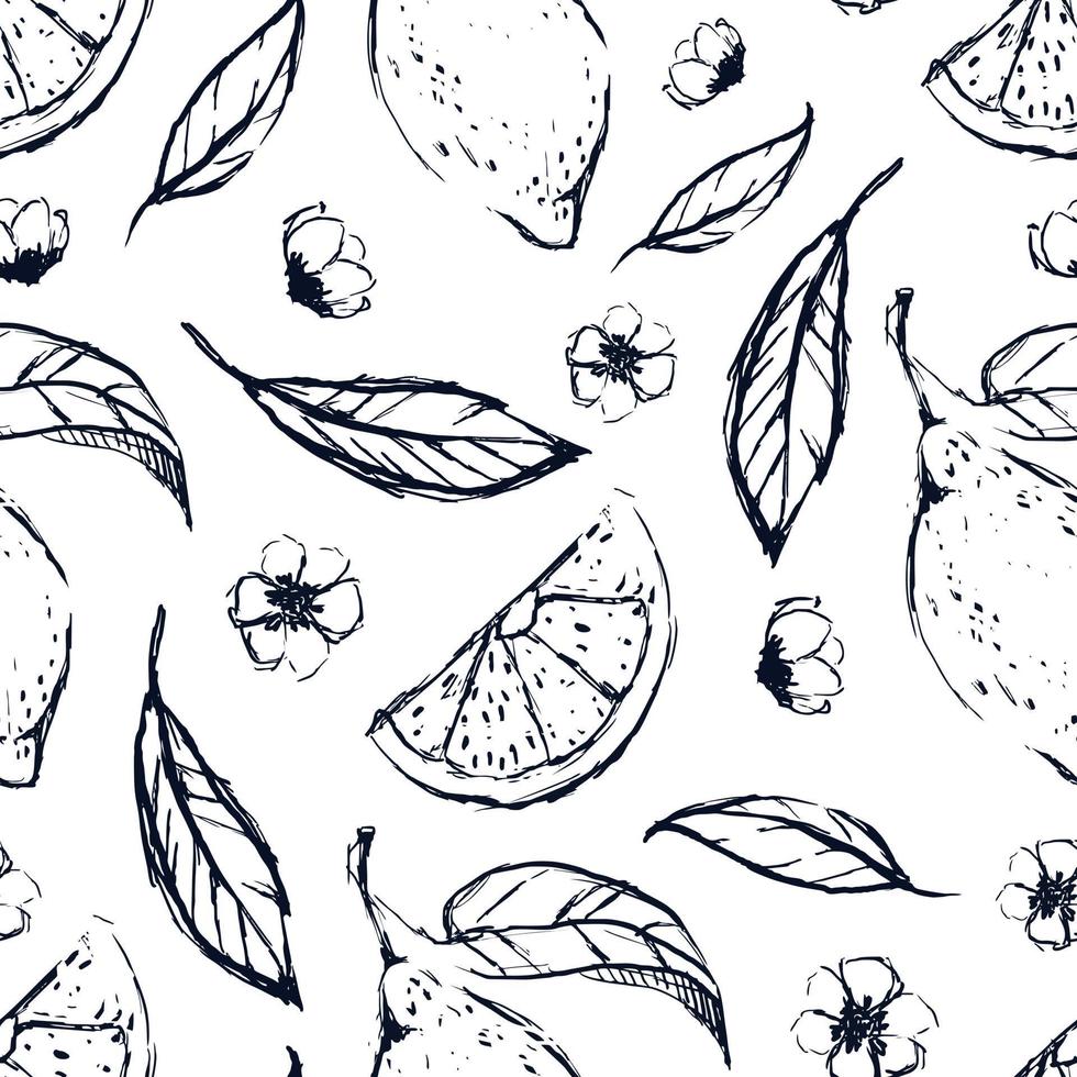 Hand draw lemon seamless pattern background wallpaper. Cute seamless pattern with lemons. Vector seamless pattern with lemon, leaves and flower. Lemon line background.