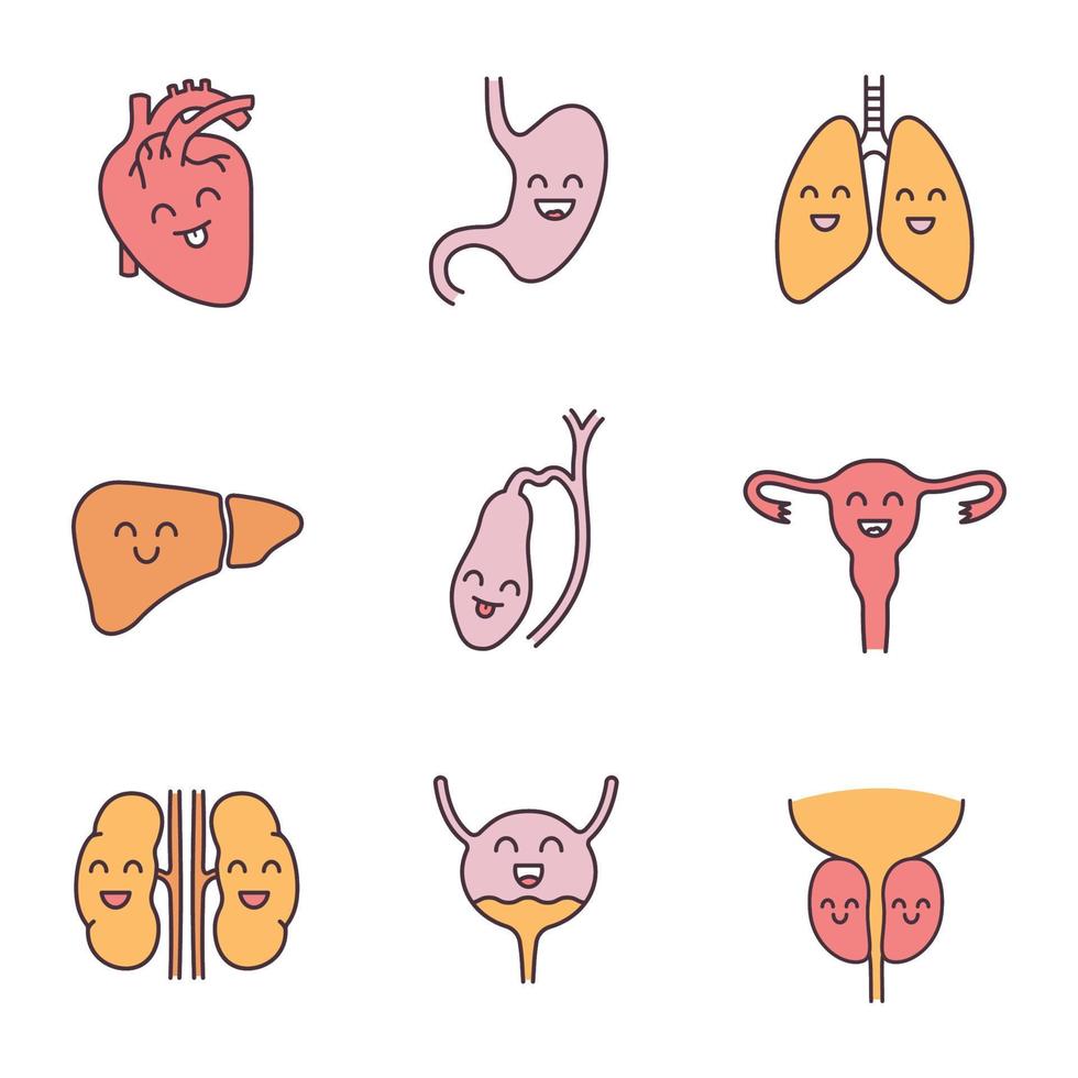 Smiling human internal organs color icons set. Respiratory, urinary, reproductive, digestive systems health. Isolated vector illustrations