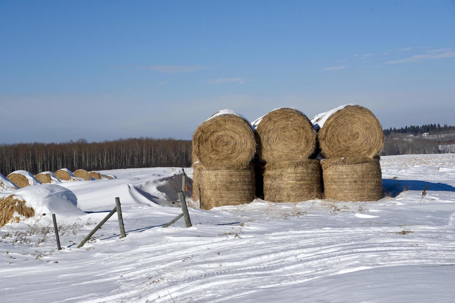 round bales covered with snow 7388970 Stock Photo at Vecteezy