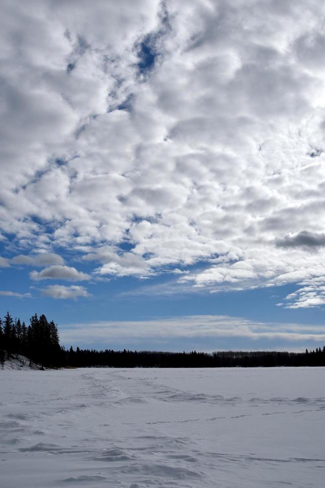 winter at the lake photo