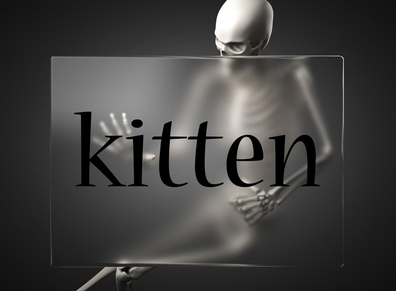kitten word on glass and skeleton photo