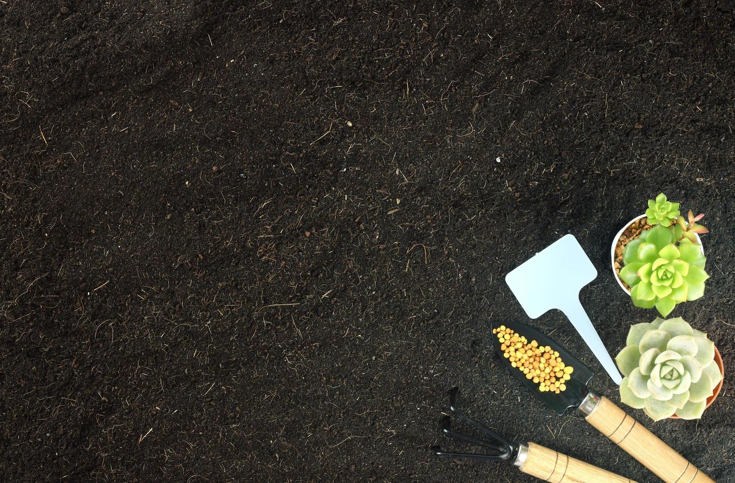 Top view of gardening tools and minimal succulent plant  on soil. Agriculture background concept with copy space. World envionment day background. photo