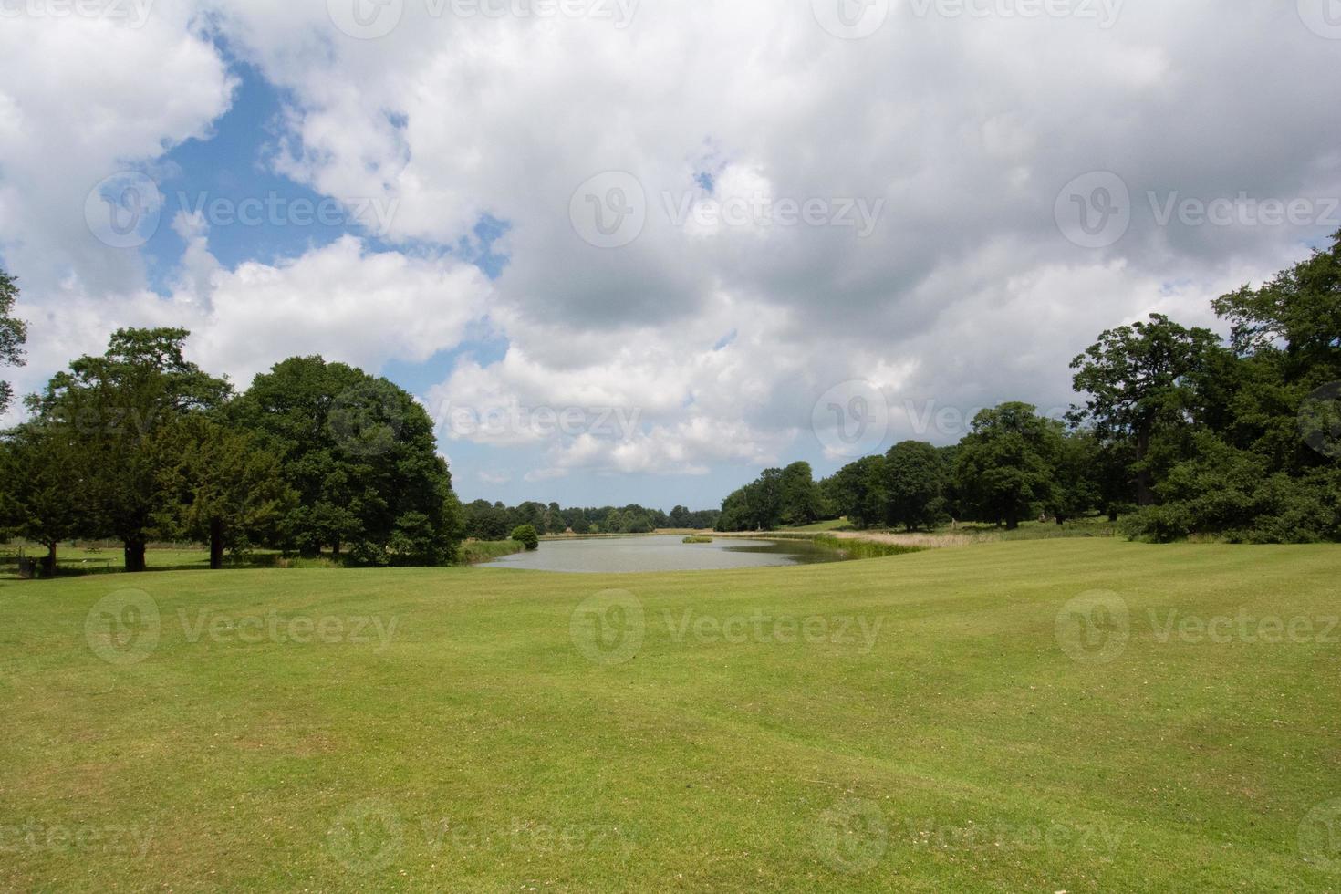 Beautiful view of a bright green field with a small lake among trees, with a cloudy sky background photo