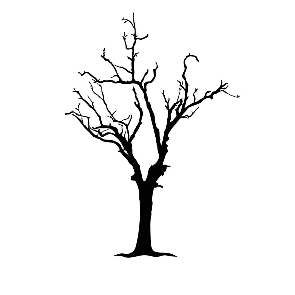 silueta de árbol sobre fondo blanco vector