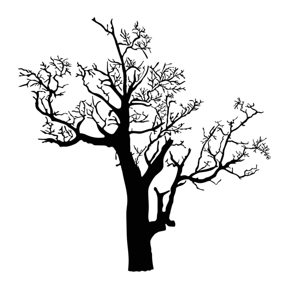 Tree silhouette on white background vector