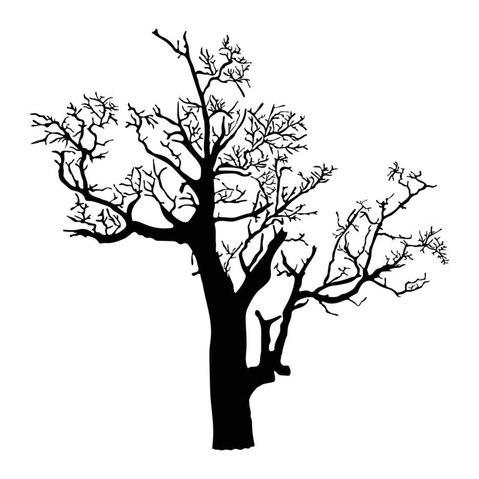 silueta de árbol sobre fondo blanco vector