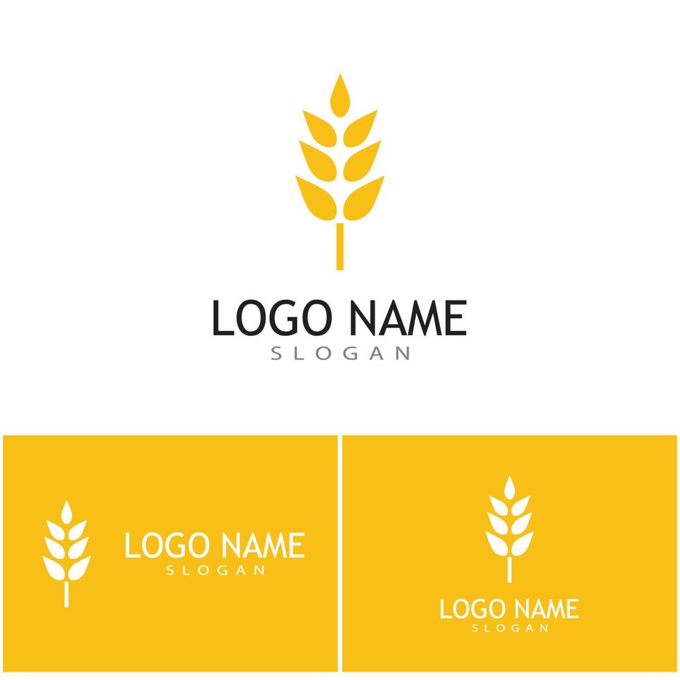 Agriculture wheat vector icon design