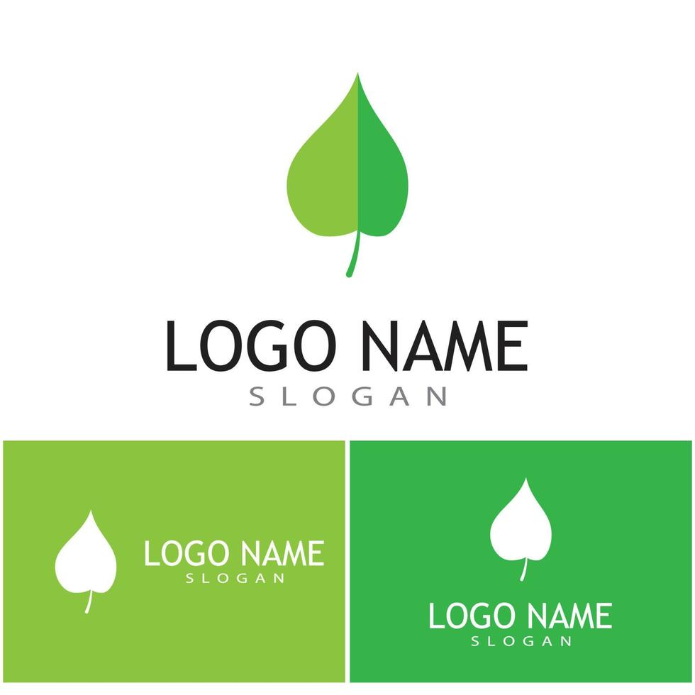 Leaf and Shutter Lens Aperture for Nature Photographer logo design inspiration vector
