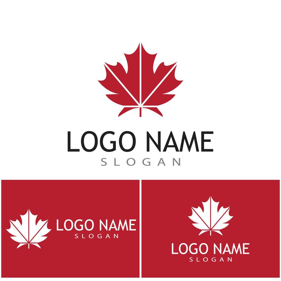 Maple leaf vector illustration design template