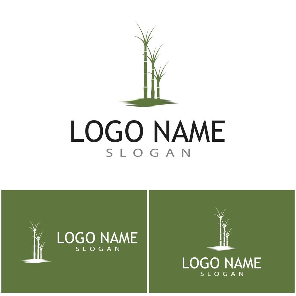 caña de azúcar, logotipo, plantilla, vector, símbolo, naturaleza vector