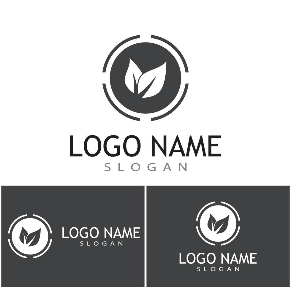 Leaf and Shutter Lens Aperture for Nature Photographer logo design inspiration vector