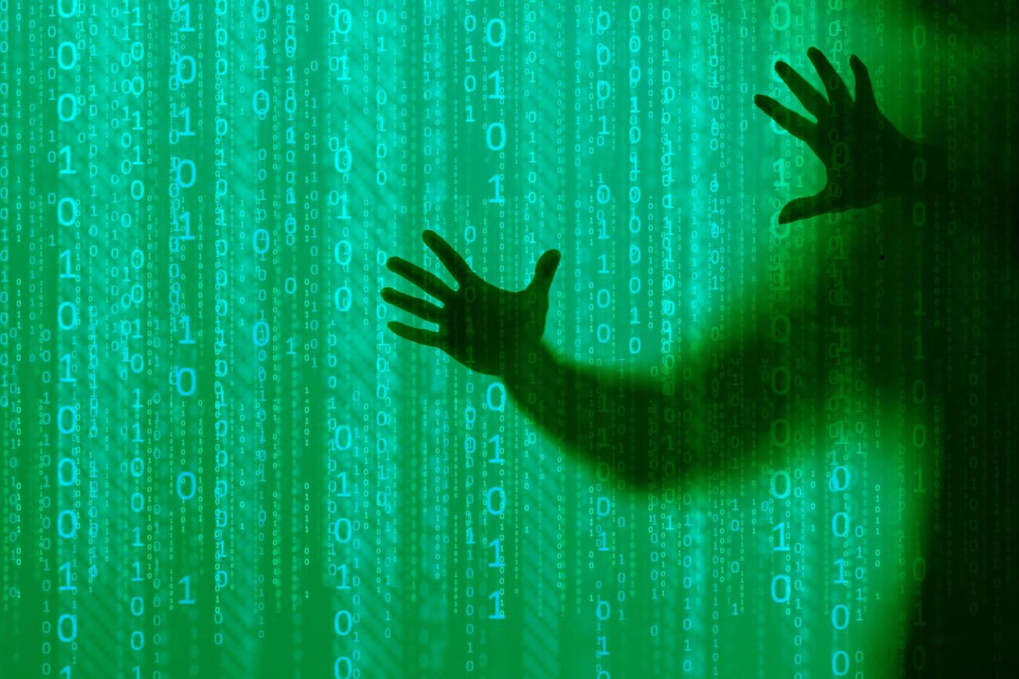 stealing information in the network. photo