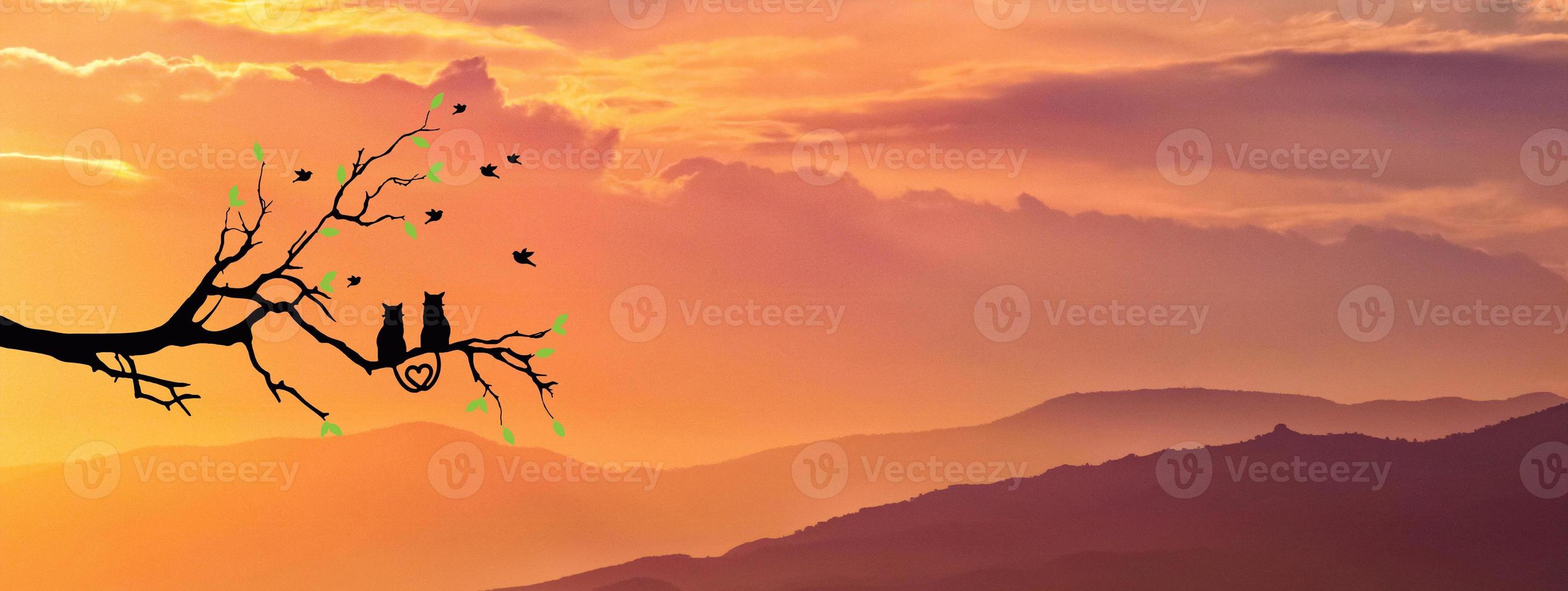 Silhouette of a cat couple on a branch, beautiful view. concept of love, couple, happiness photo