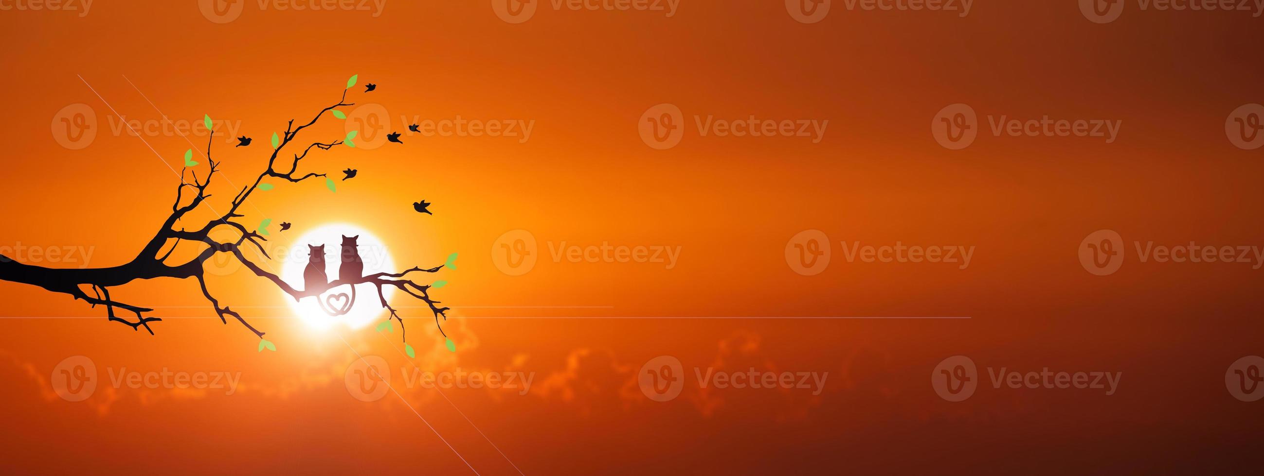 Silhouette of a cat couple on a branch, beautiful view. concept of love, couple, happiness photo