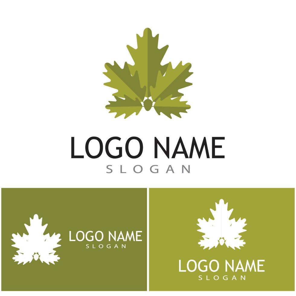 Leaf and Shutter Lens Aperture for Nature Photographer logo design inspiration vector