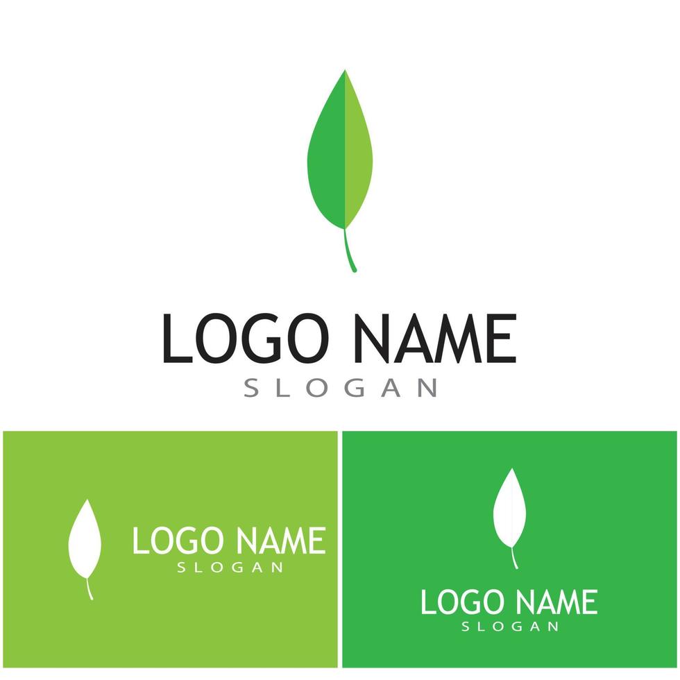 Leaf and Shutter Lens Aperture for Nature Photographer logo design inspiration vector