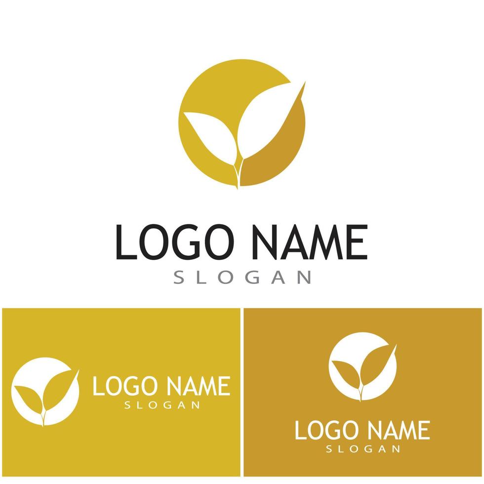 Leaf and Shutter Lens Aperture for Nature Photographer logo design inspiration vector