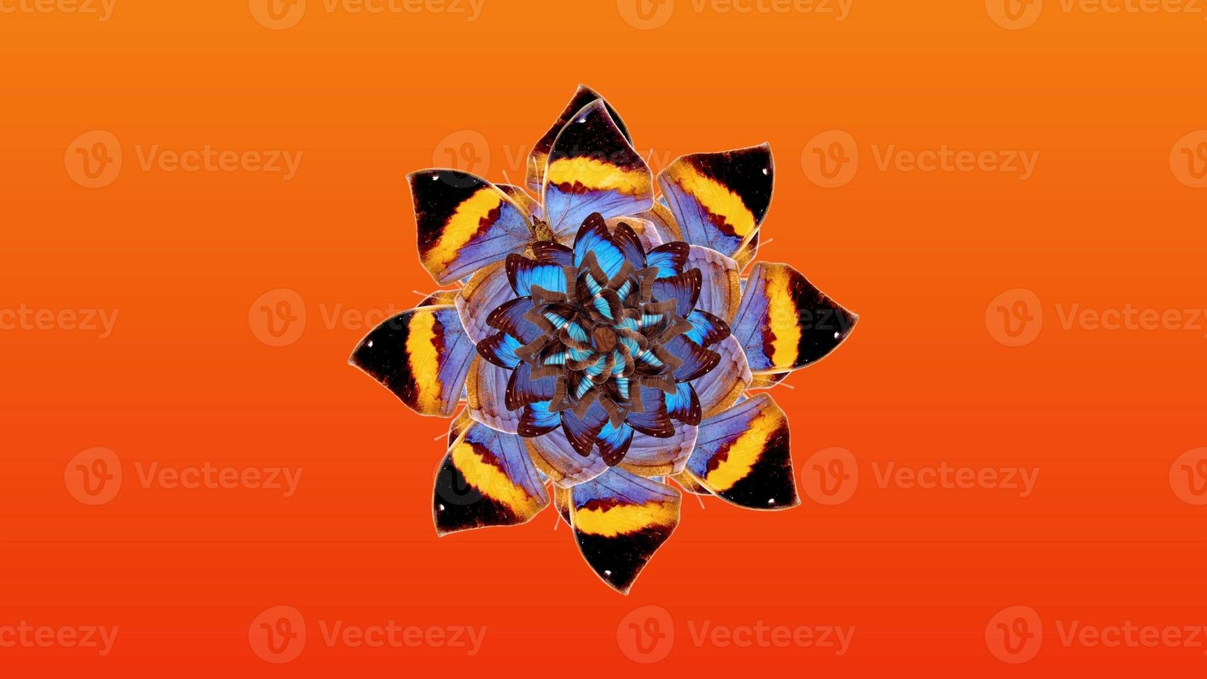 Mirror kaleidoscope with colorful butterflies. Yellow, blue and brown butterflies on an orange background. photo