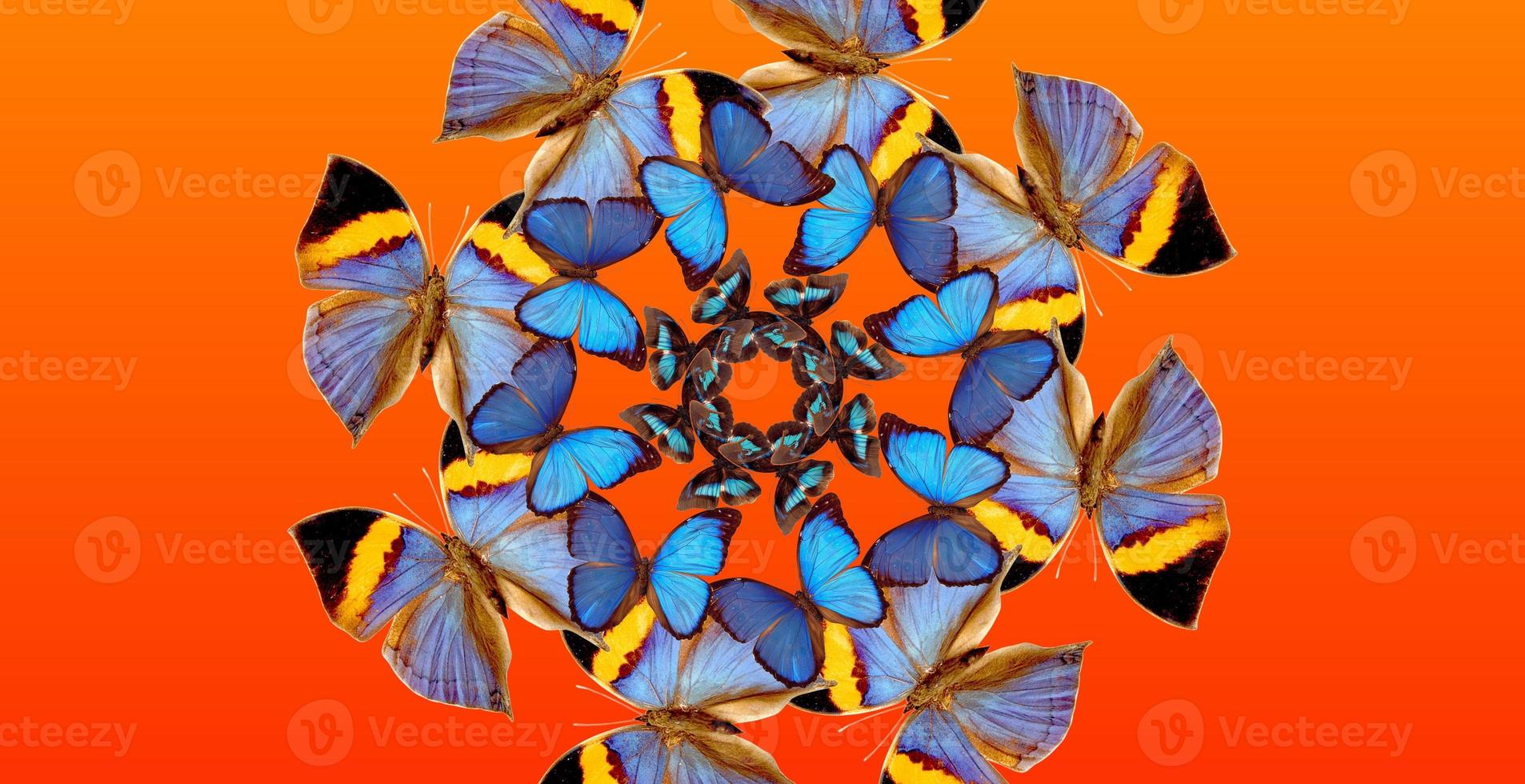 caleidoscopio de espejo con mariposas de colores. mariposas amarillas, azules y marrones sobre un fondo naranja. foto