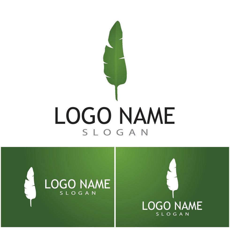 Leaf and Shutter Lens Aperture for Nature Photographer logo design inspiration vector