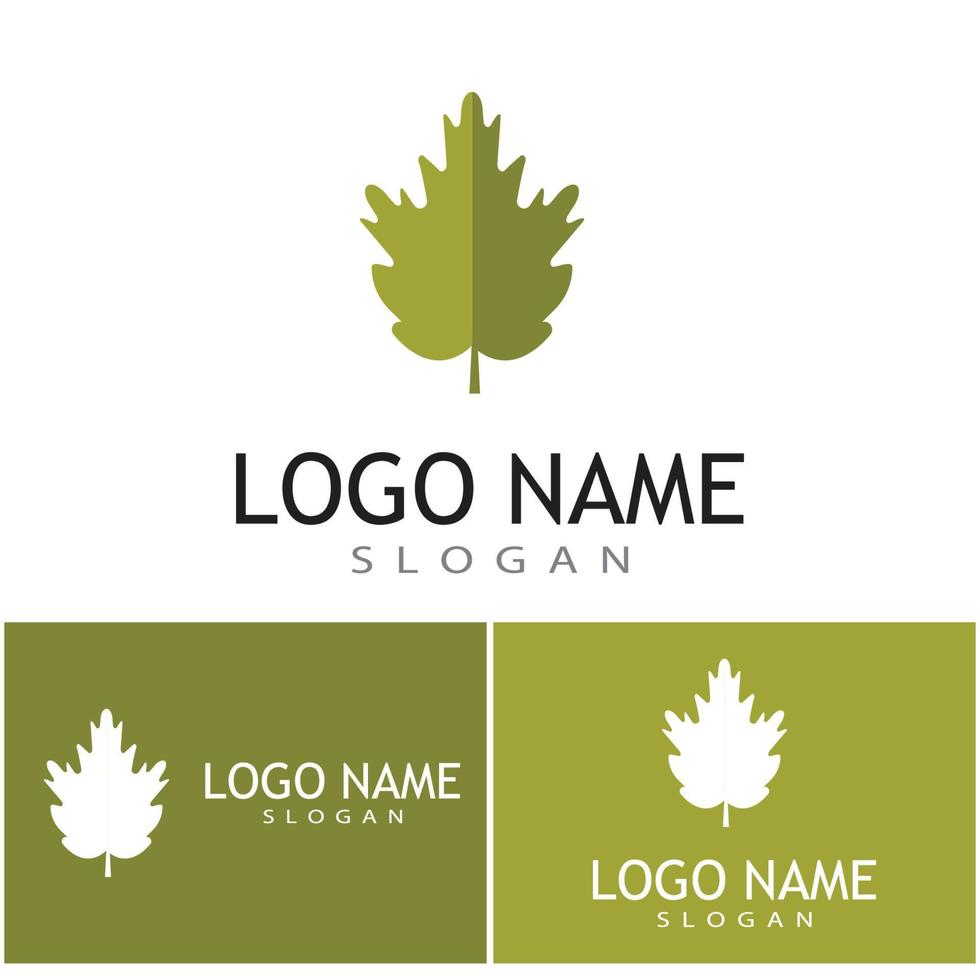 Leaf and Shutter Lens Aperture for Nature Photographer logo design inspiration vector