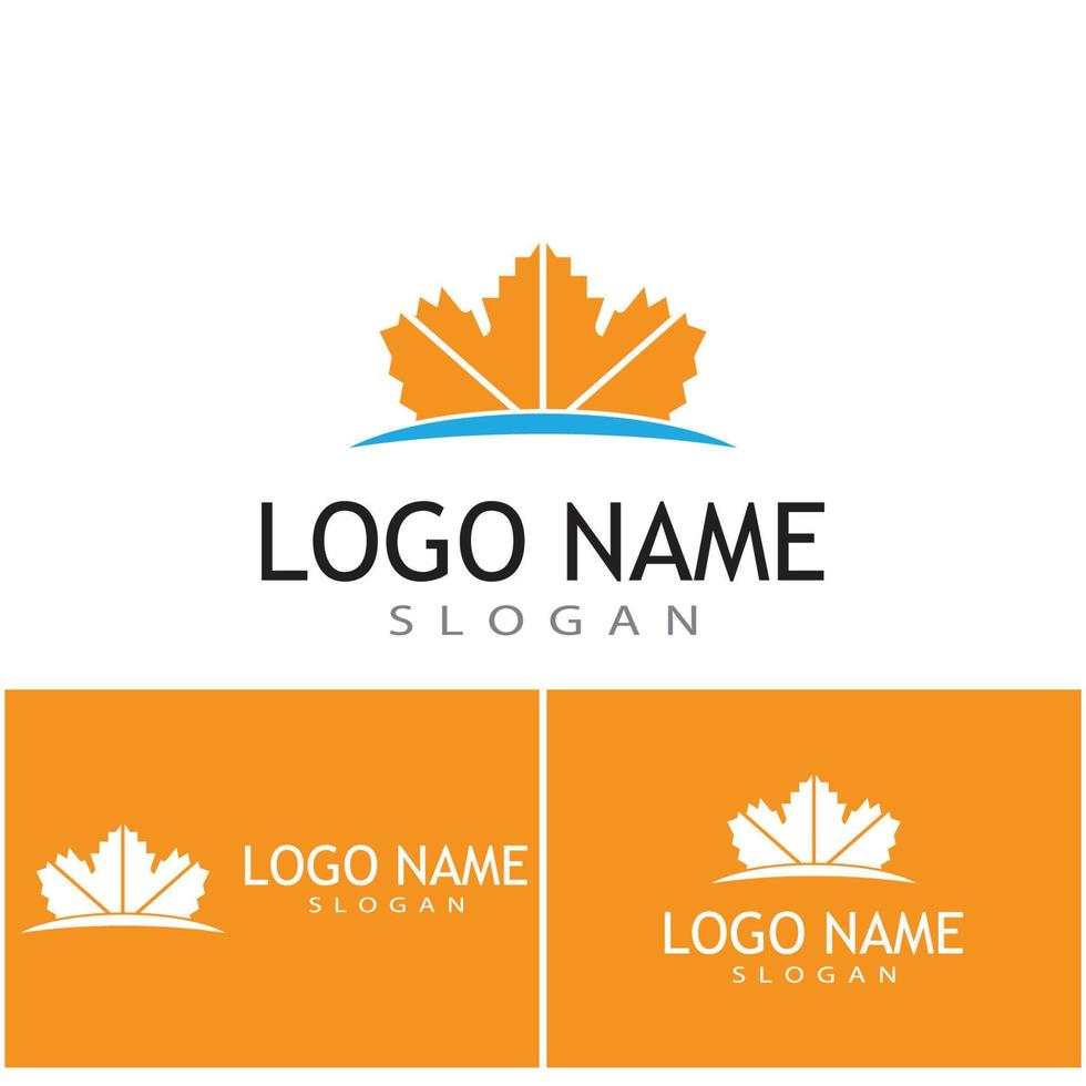Maple leaf vector illustration design template