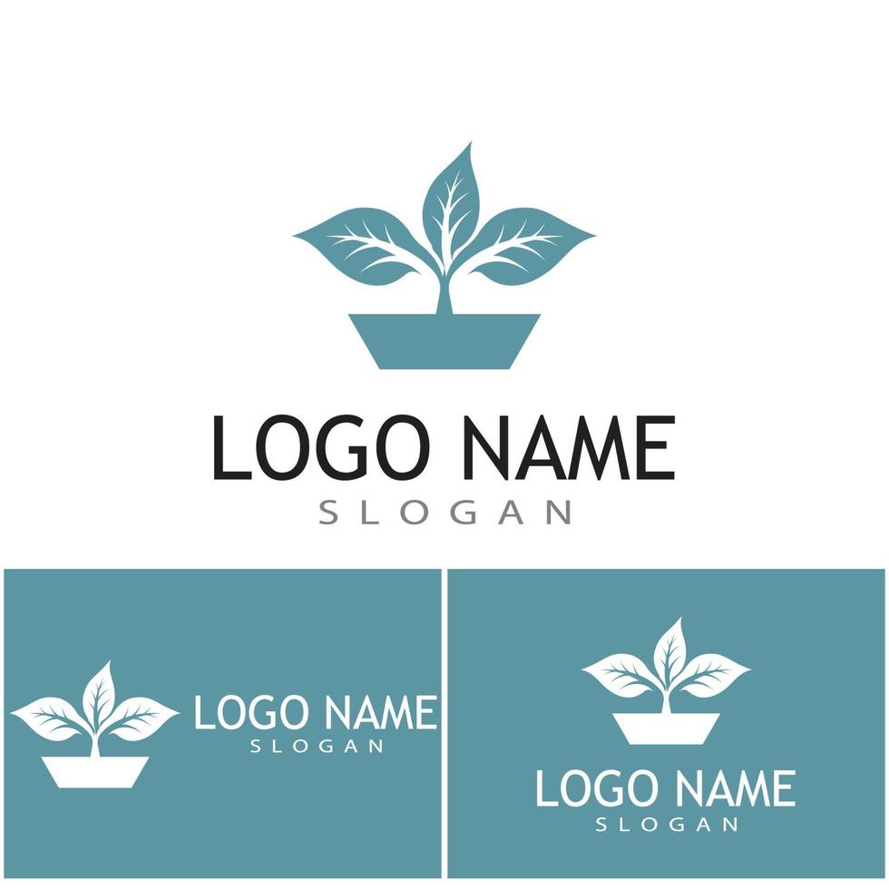 Mint leaves flat vector color icon template illustration design