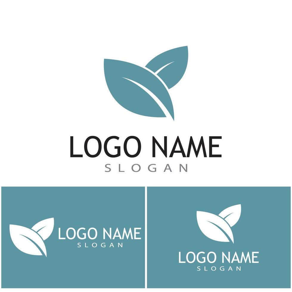 Mint leaves flat vector color icon template illustration design