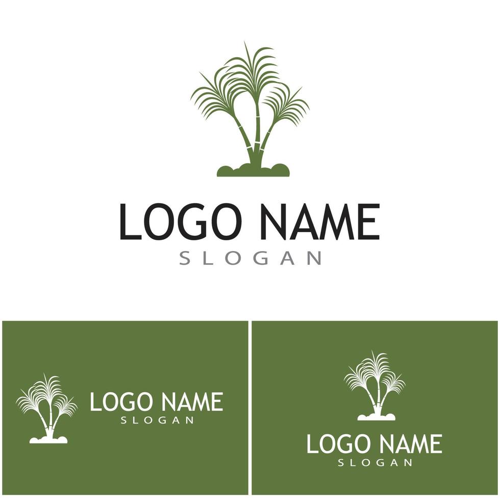 caña de azúcar, logotipo, plantilla, vector, símbolo, naturaleza vector