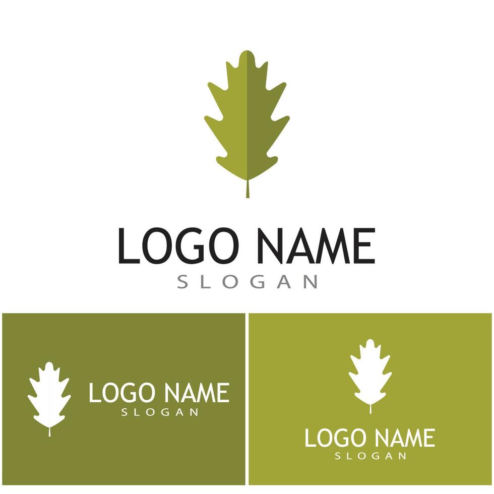 Leaf and Shutter Lens Aperture for Nature Photographer logo design inspiration vector