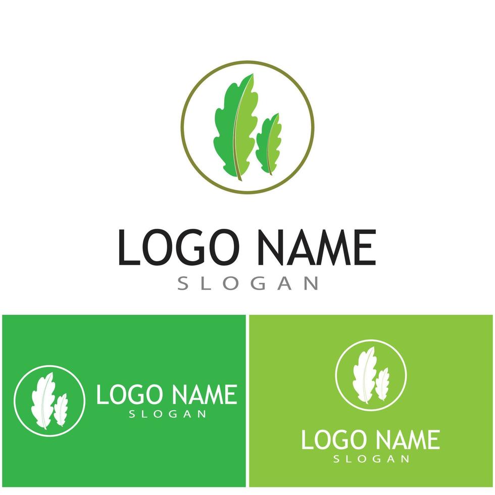 Leaf and Shutter Lens Aperture for Nature Photographer logo design inspiration vector