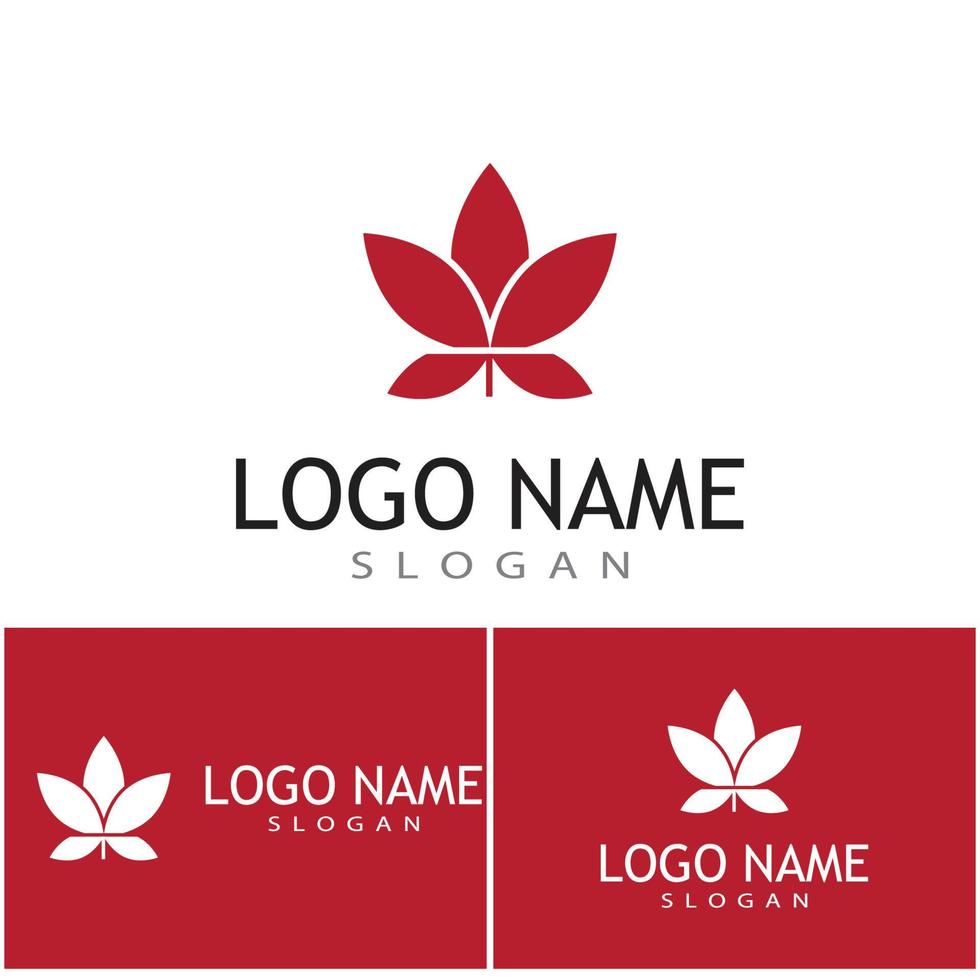 Maple leaf vector illustration design template