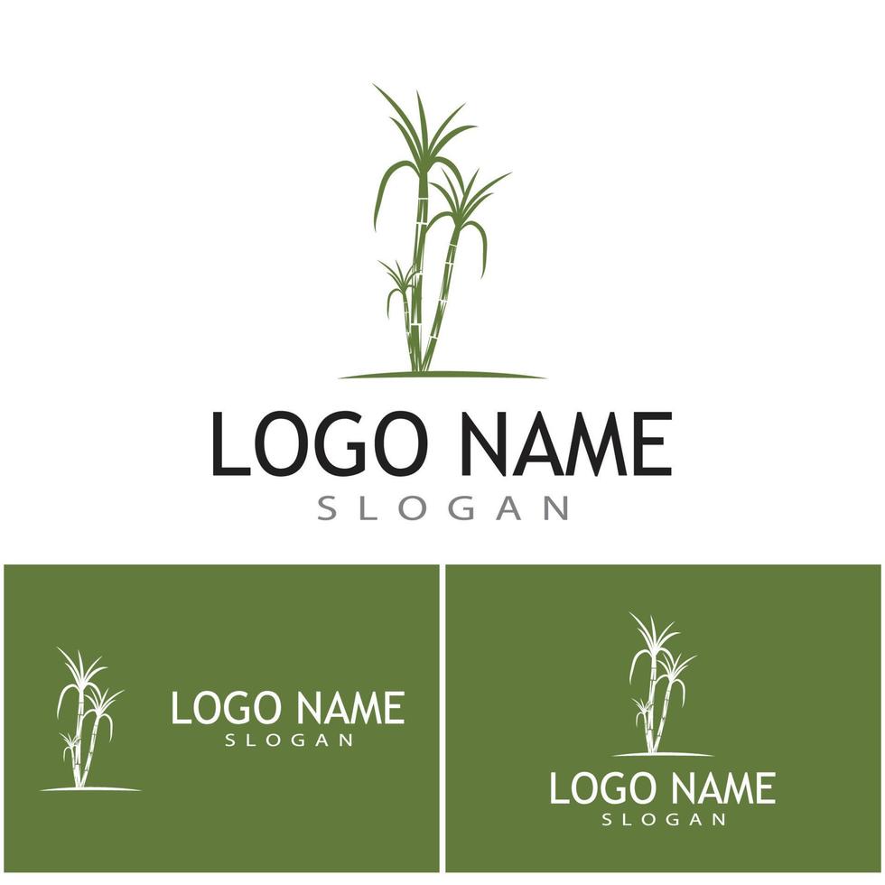 Sugar cane Logo Template vector symbol nature