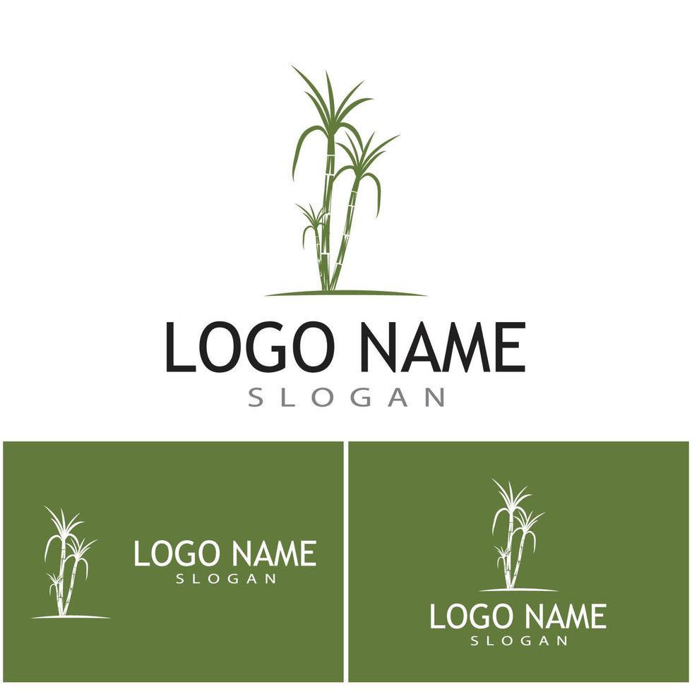 caña de azúcar, logotipo, plantilla, vector, símbolo, naturaleza vector