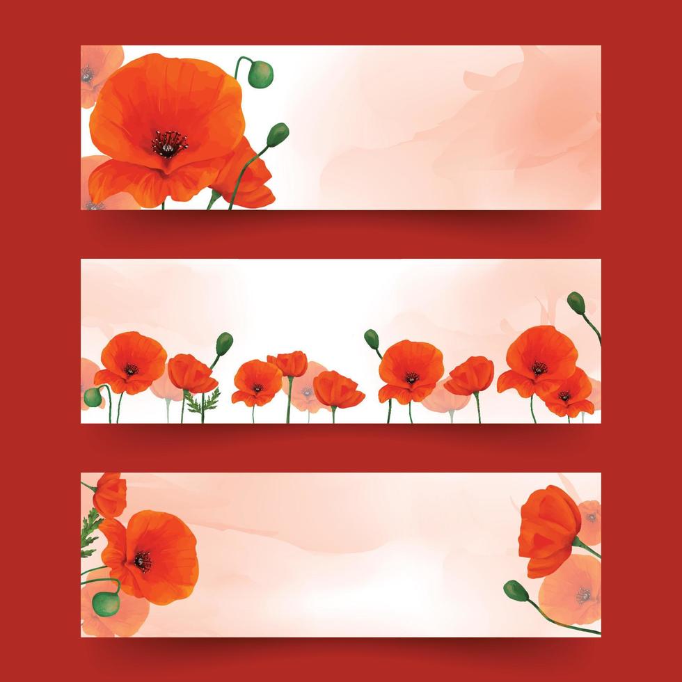 conjunto de banners de flor de amapola en el tema floral de verano vector