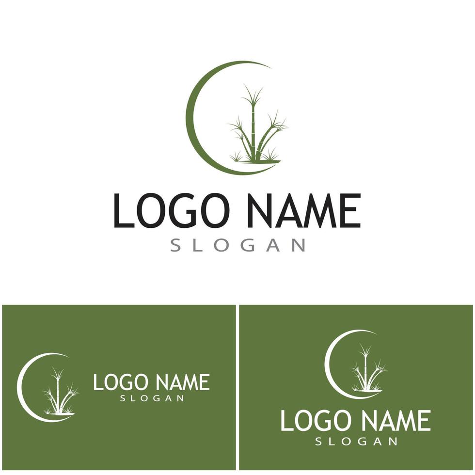 Sugar cane Logo Template vector symbol nature