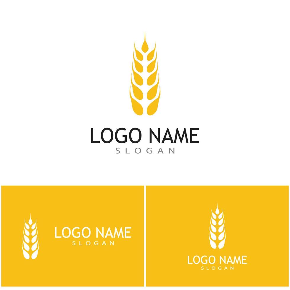 Agriculture wheat vector icon design