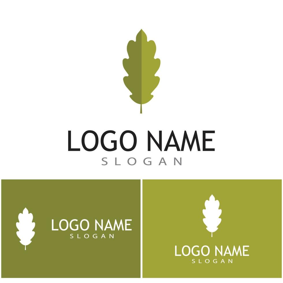 Leaf and Shutter Lens Aperture for Nature Photographer logo design inspiration vector