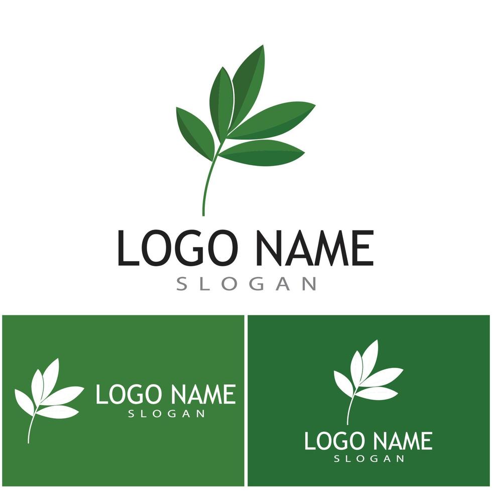 Leaf and Shutter Lens Aperture for Nature Photographer logo design inspiration vector