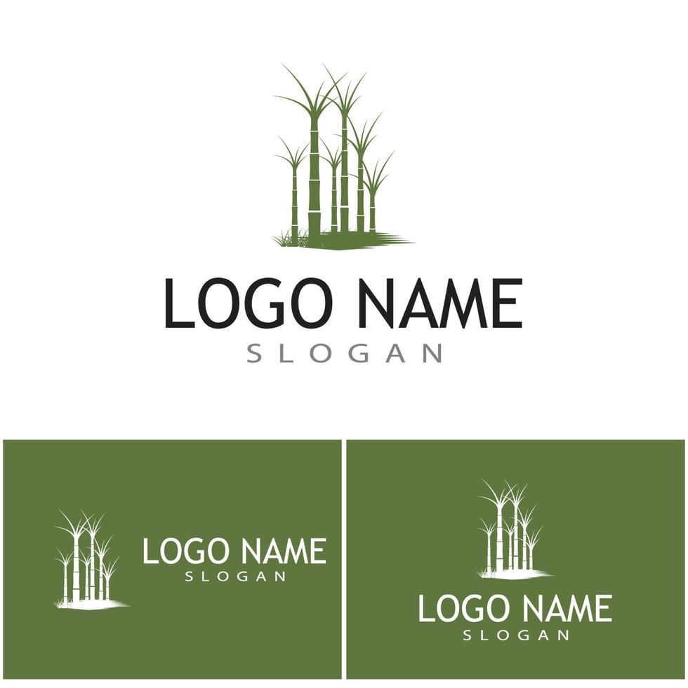 caña de azúcar, logotipo, plantilla, vector, símbolo, naturaleza vector