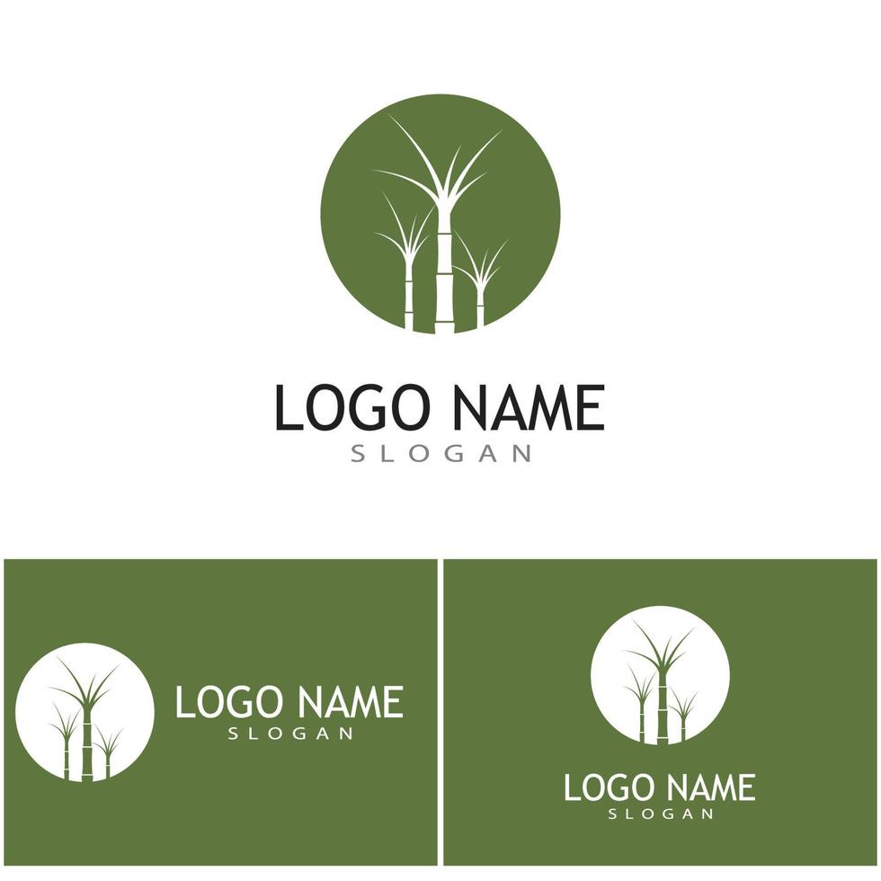 caña de azúcar, logotipo, plantilla, vector, símbolo, naturaleza vector