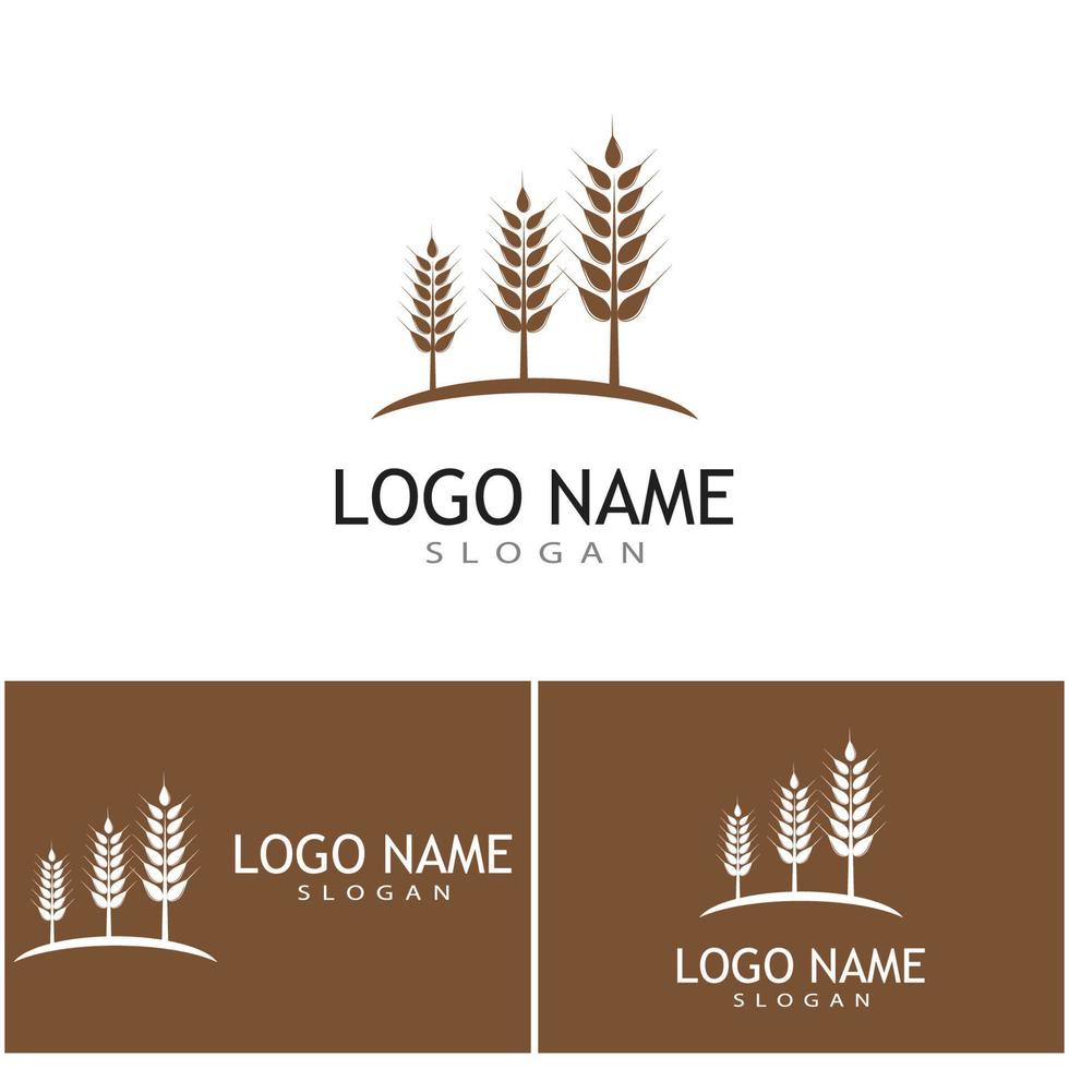 Agriculture wheat vector icon design