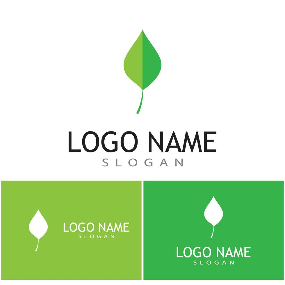 Leaf and Shutter Lens Aperture for Nature Photographer logo design inspiration vector