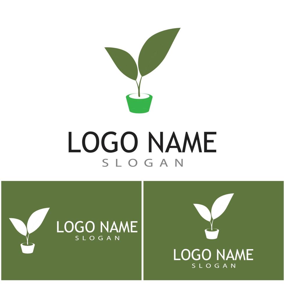 Leaf and Shutter Lens Aperture for Nature Photographer logo design inspiration vector