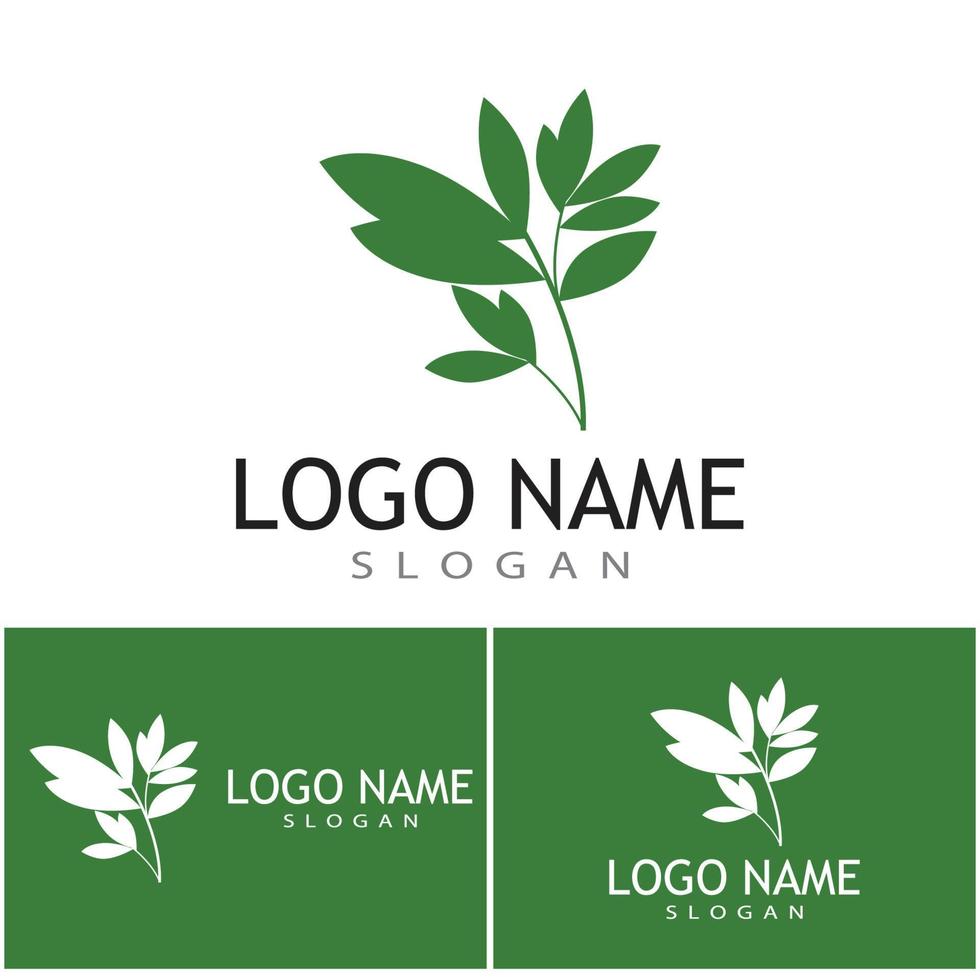 Leaf and Shutter Lens Aperture for Nature Photographer logo design inspiration vector