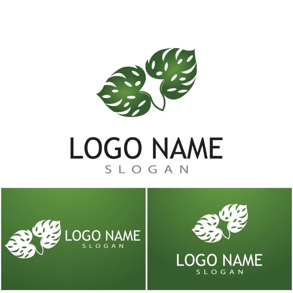 Monstera leaf logo vector design