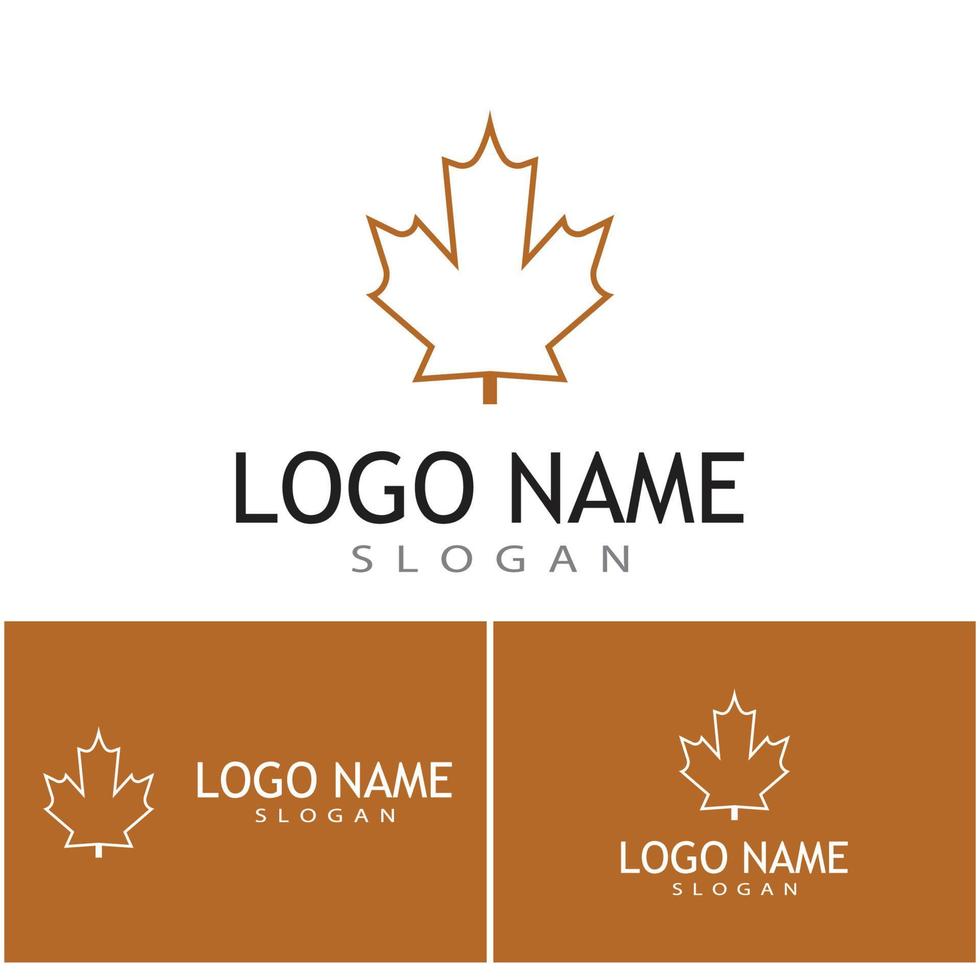 Maple leaf vector illustration design template